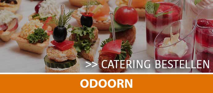 catering-cateraar-odoorn